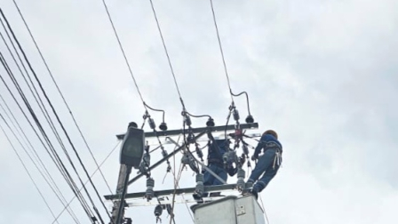 La ministra de Energía anunció que realizarán cortes de luz en Guayas el domingo 19 y el domingo 26 de abril.