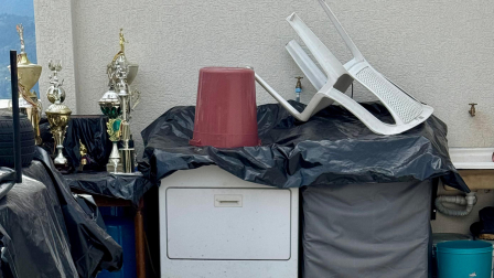 Los perros Rufino y Abril fueron rescatados en el sector de La Armenia