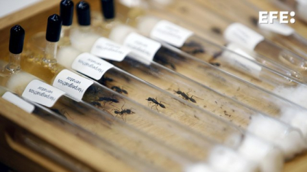 El Tribunal del Aeropuerto Internacional Jomo Kenyatta en Kenia condenó a un ciudadano chino a un año de cárcel.