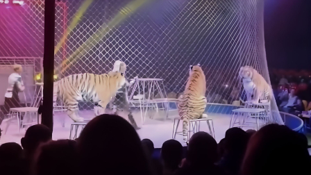 El hecho reabre el debate sobre las condiciones de seguridad en espectáculos con animales salvajes.