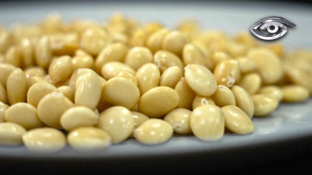 Pequeño, áspero y cotidiano. El chocho ha estado presente en la mesa ecuatoriana desde tiempos preincaicos. Rico en proteínas, fibra y minerales, este grano ancestral combina tradición y ciencia en cada preparación.