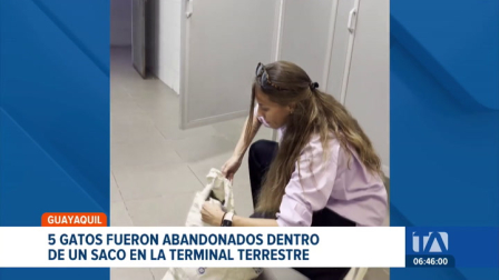 Un nuevo caso de crueldad animal se registró en la terminal terrestre. El abandono de mascotas experimenta un  incremento este año. Un reportaje de Camila Guevara