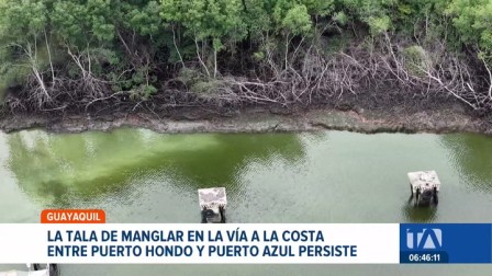 Entre Puerto Hondo y Puerto Azul, el ecosistema de manglar sigue siendo destruido pese a las denuncias ciudadanas. Un reportaje de Ever Moreira