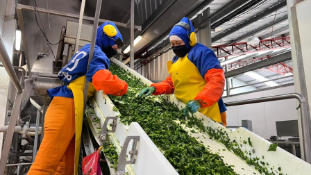 La tasa de participación de empleo cayó al 64,4% en Ecuador