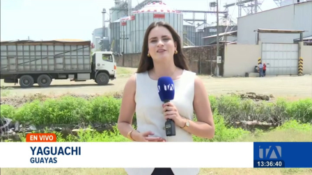 El proceso de compra pública de arroz en cáscara inició oficialmente para productores verificados; los centros de recepción se encuentran distribuidos estratégicamente en ambas provincias para facilitar el comercio.