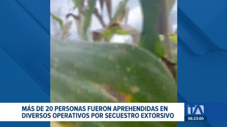 Unidades especializadas de la Policía Nacional desarticularon bandas dedicadas al secuestro extorsivo en diversas zonas rurales. Un reportaje de Catalina García