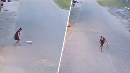 Captan en video a mujer pateando un perro en calle de Florida, Estados Unidos