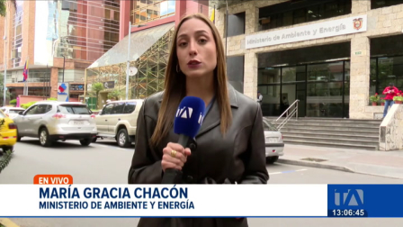 Reemplaza a Inés Manzano en una cartera cuestionada por problemas en el suministro eléctrico y falta de resultados en los procesos de nueva generación de energía.