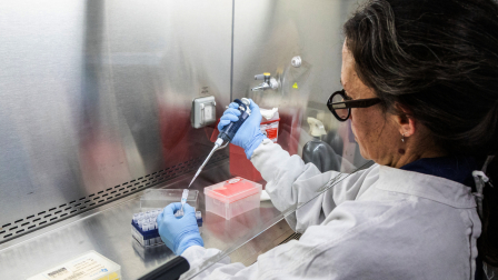 El Ministerio de Salud Pública dijo que se mantiene en alerta permanente y en contacto con otros países por el hantavirus.