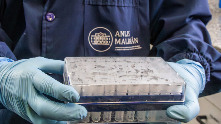 El virus de los Andes, es la cepa del hantavirus que se transmite de humano a humano