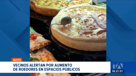 La UBA desplegó operativos de limpieza y control en varios sectores de la capital tras múltiples denuncias de presencia de ratas. Un reportaje de Mishell Villacís