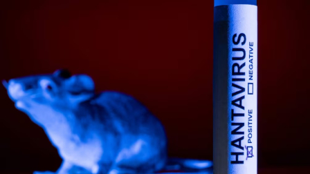La OMS lanzó una nueva advertencia sobre el antavirus.