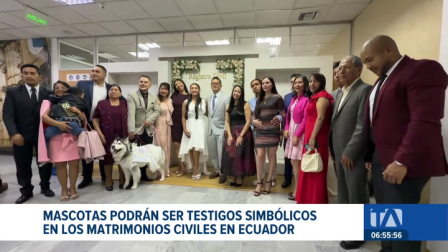 El Registro Civil del Ecuador lanzó un programa que permite a las mascotas asistir a las ceremonias y actuar como testigos simbólicos. Un reportaje de Jazmín Solís