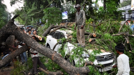 Hombres ayudan a retirar un árbol que cayó sobre un auto en la India por las tormentas