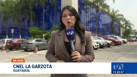 El descuento se aplicará a la planilla de luz correspondiente al mes de abril, en medio de continuas denuncias ciudadanas por sobrefacturación. Un reportaje de Astrid Singre