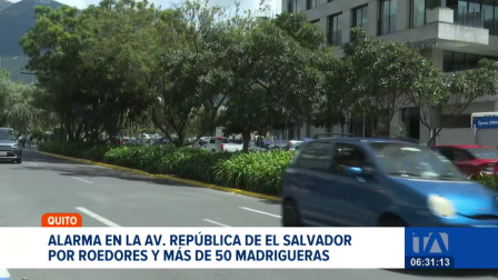 La aparición de ratas en esta transitada avenida del norte de Quito obligó a la instalación de mesas de trabajo técnicas para erradicar el problema.  Un reportaje de Mishell Villacís