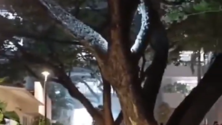 Estudiantes evacuaron ante una alerta de conato de incendio en la Universidad Espíritu Santo, en Samborondón