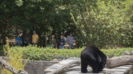 El padarinamiento de un animal del Zoo Quito otorga entradas gratis.