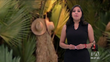 Descubrimos el origen de la paja toquilla, una planta emblemática, que con sus fibras dan vida al emblemático sombrero ecuatoriano. Un reportaje de Nathalie Jiménez