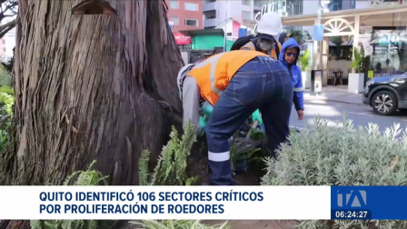 La Secretaría de Salud de Quito informó que las intervenciones sanitarias lograron mitigar la presencia de ratas. Se alerta de la presencia de insectos. Un reportaje de Mishell Villacís