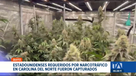 Policía allanó laboratorio de marihuana y localizó a dos extranjeros prófugos de la justicia norteamericana. Un reportaje de Catalina García