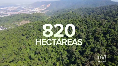 Colectivos ecologistas cuestionan la medida del Ministerio de Ambiente sobre la explotación minera en Cerro Azul. La zona es un área protegida. Un reportaje de Johanna Ramos