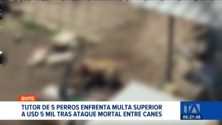 La Unidad de Bienestar Animal inició un proceso sancionatorio contra el dueño de cinco mascotas debido a una omisión de custodia segura. Un reportaje de Brigette Mancheno