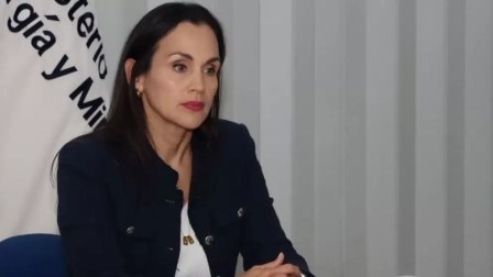 La exministra de Ambiente y Energía, Inés Manzano, estaría