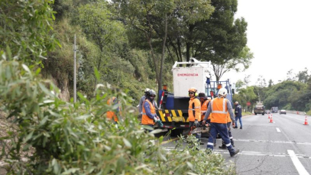 Mientras se retiran los árboles en la av. Simón Bolivar, habrá un cierre parcial de la vía.