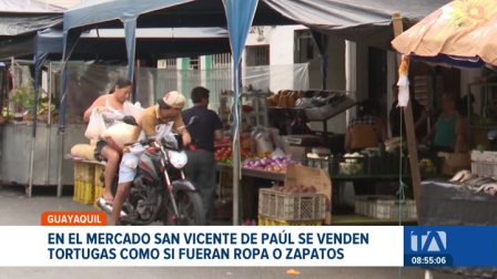 Agentes intervinieron en el mercado San Vicente de Paúl para rescatar a estos especímenes. Las autoridades recuerdan que esta especie es invasora. Un reportaje de Paula Kuhn