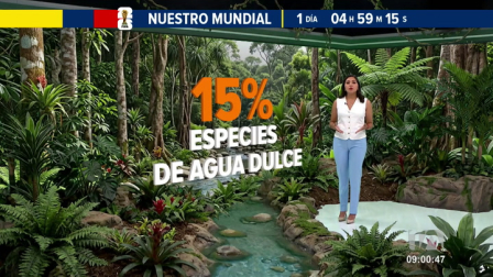 La cuenca amazónica alberga una biodiversidad acuática única, pero la sobrepesca amenaza a más del 30% de sus especies de agua dulce. Un reportaje de Nathalie Jiménez