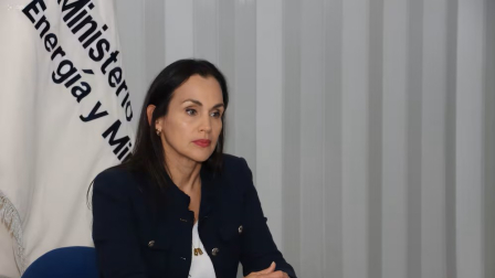 Inés Manzano se refirió al caso Progen y negó tener responsabilidades.