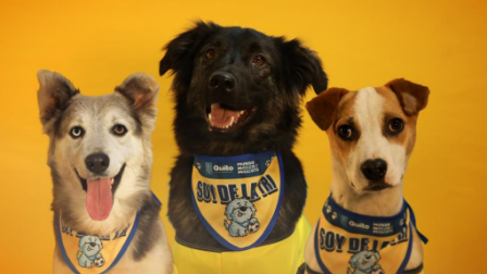 Por la adopción de una mascota las personas podrán acceder a un pañuelo mundialista.