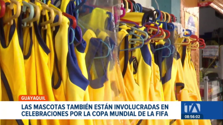 Los consentidos del hogar también forman parte de la fiesta del fútbol gracias a la oferta de indumentaria que ofrecen comercios de Guayaquil. Un reportaje de Camila Guevara