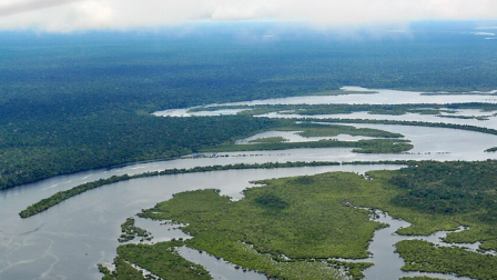Amazonía brasileña