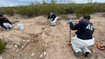 Cuerpos hallados en fosa de Coyame del Sotol son de migrantes