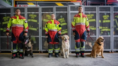 Lucky, Argo y Anubis dedicaron años al rescate de personas. Llegó la hora de jubilarse.