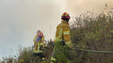 Las altas temperaturas y la temporada seca pueden ocasionar incendios forestales.