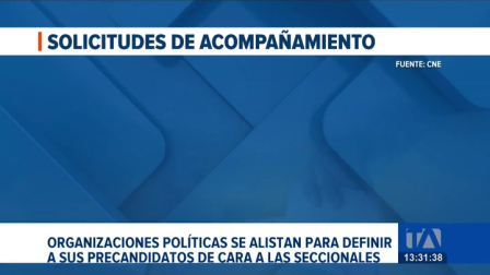 El CNE ha recibido 166 solicitudes de acompañamiento para definir precandidatos. Expertos cuestionan la legitimidad de estos procesos. Un reportaje de Lucía Clavijo