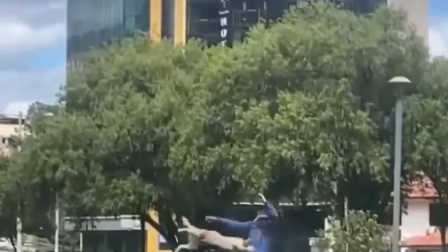 Un hombre fue captado lanzando a un perro a una alguna en varias ocasiones.