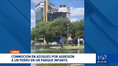 Un caso de crueldad animal conmociona a la ciudad de Azoguez. Policía y unidades de rescate actuaron tras la alerta y lograron salvar la vida del can. Un reportaje de Martha Calle