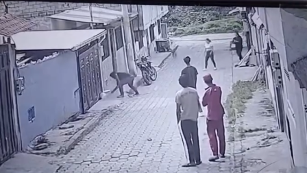 Hombre que golpeó a perrita y sus cachorros no puede ser sancionado porque es extranjero.