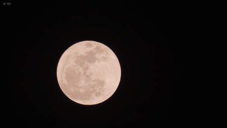 La luna de fresa, su nombre se debe a que coincidia con la temporada de cosecha de fresas silvestre