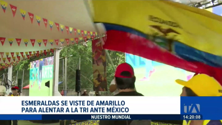 Pantallas gigantes y diversos preparativos están en marcha en la provincia verde para recibir a la hinchada y alentar a la selección ecuatoriana. Un reportaje de Gregory Rosero