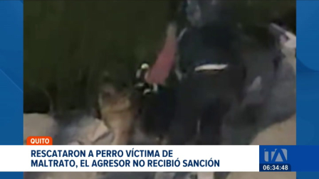 La Unidad de Bienestar Animal logró rescatan a un pastor alemán maltratado en la vía pública. El responsable no recibió sanciones al estar en situación de calle. Un reportaje de Mishell Villacís