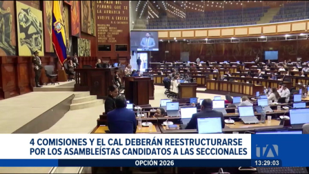 La renuncia obligatoria de 22 asambleístas que buscan alcaldías y prefecturas obligará a reorganizar las mesas. ADN registra más bajas. Un reportaje de Karen Haro