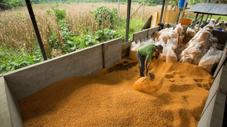 El comercio y la agricultura son dos de los sectores que más inversión extranjera directa recibieron el primer trimestre de 2026.