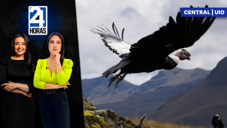 Revise las noticias más destacadas de Quito en la Emisión Central del Noticiero 24 Horas de este miércoles 8 de julio del 2026. Con Stephany Paz y Andrea Samaniego.