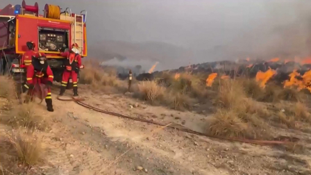 Un voraz incendio se extendió por la zona de Almería desde la tarde del jueves 9 de julio.