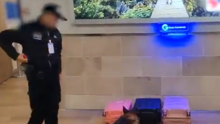 Perros antidrogas detectan cocaína camuflada en aparatos electrónicos